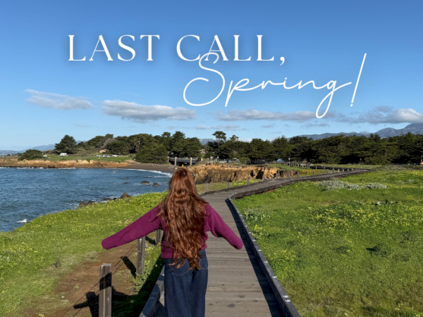 A person with outstretched arms stands on a wooden boardwalk toward the coast, with green fields, trees, and a blue sky; text reads &ldquo;LAST CALL, Spring!&rdquo; ending with a period.